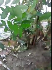 KİME ŞEKİL YAPIYORSUNUZ LAN!