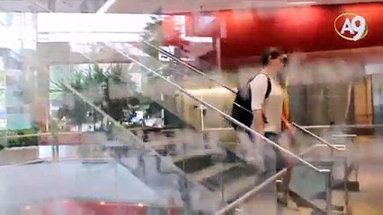 Bilgi Küpü: Işık saçan bakteriler