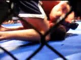 Dan Hawley MMA Fighter preying mantis kung fu style  ufc