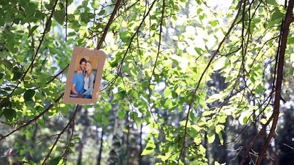 After Effects Project Files - Forest Gallery - VideoHive 8850072