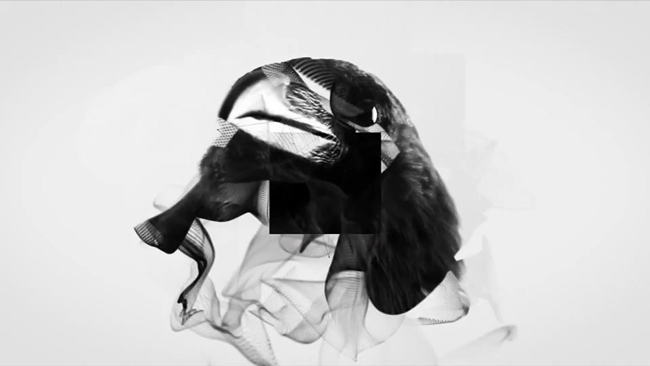 After Effects Project Files - Raven Logo - VideoHive 8935710
