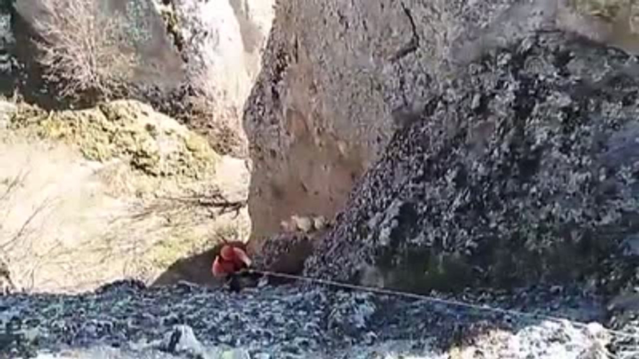 Kayalıkta Kalan Keçilere Afad Operasyonu