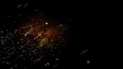 After Effects Project Files - Logo in fire - VideoHive 8754296