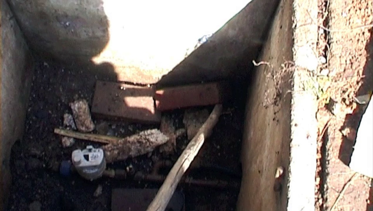 Une salamandre gardienne du compteur