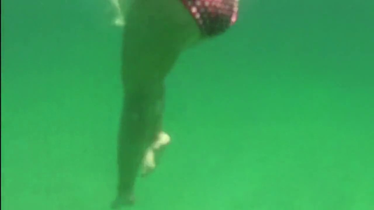 Basking shark close bathers