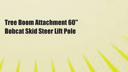 Tree Boom Attachment 60" Bobcat Skid Steer Lift Pole
