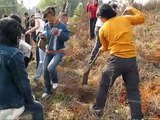 ROOTS AND SHOOTS - TREE PLANTING IN SHANGRAO, CHINA