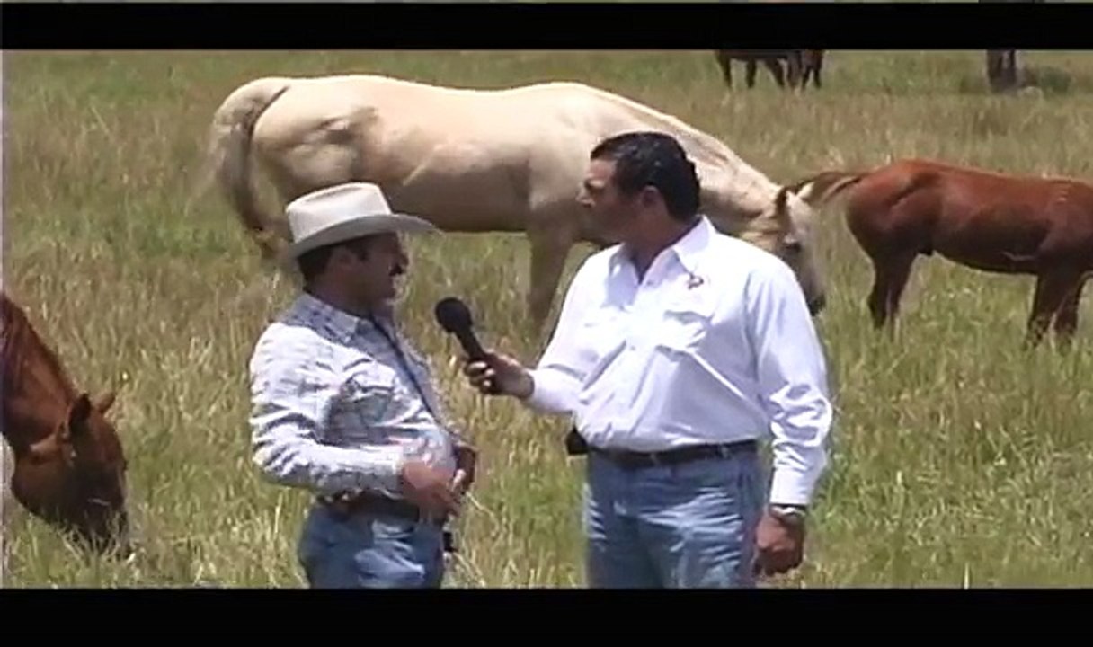 Vicente Fernandez Final