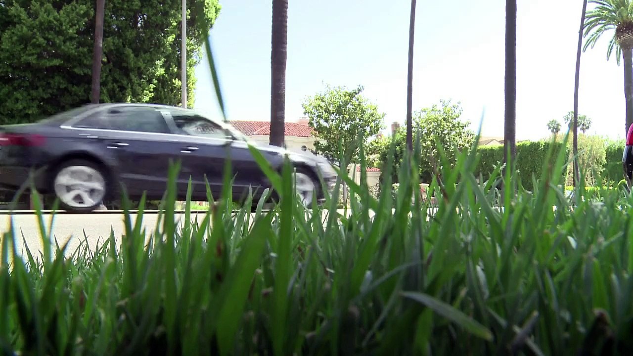 Beverly Hills may go greener by going browner