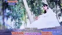 Nidda Afghan New Pashto Hits Song 2015 Razai sula Ke Zhwand Wakro - Video Dailymotion