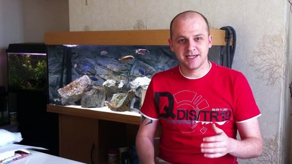 How To Get Crystal Clear Fish Tank Water - TOTW #1