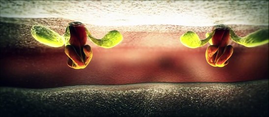 Influenza animation - flu virus mechanism