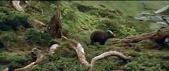 - المقطع الذي اجتذب أكثر من 40 مليون مشاهدة‬