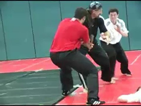 Cane Self-defense