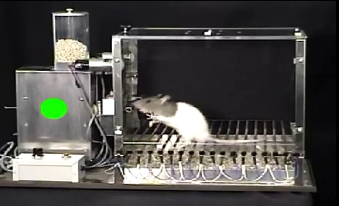 Shaping the lever press response
