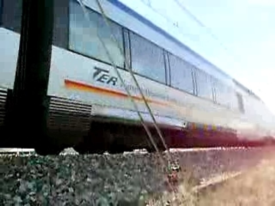 Ter