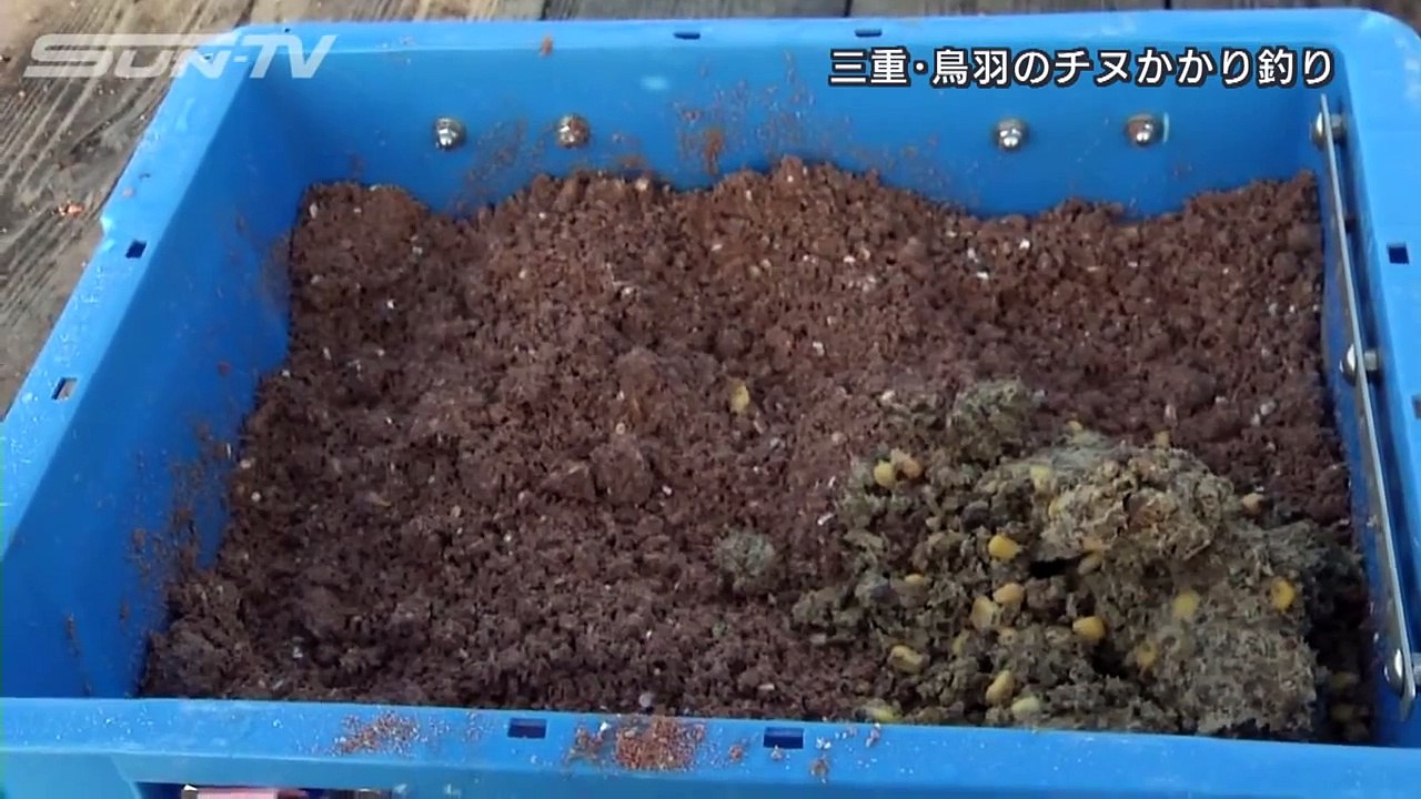ビッグフィッシング 11 21 Oa 三重 鳥羽のチヌかかり釣り Video Dailymotion