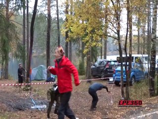 Axe cut tree falls on car camper - Lumberjack Darwin Award