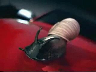 Audi RS4 Brazilian commercial