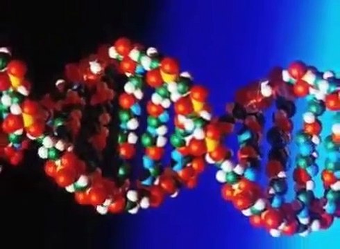 Ashkenazi Jews not Khazars - Jewish DNA