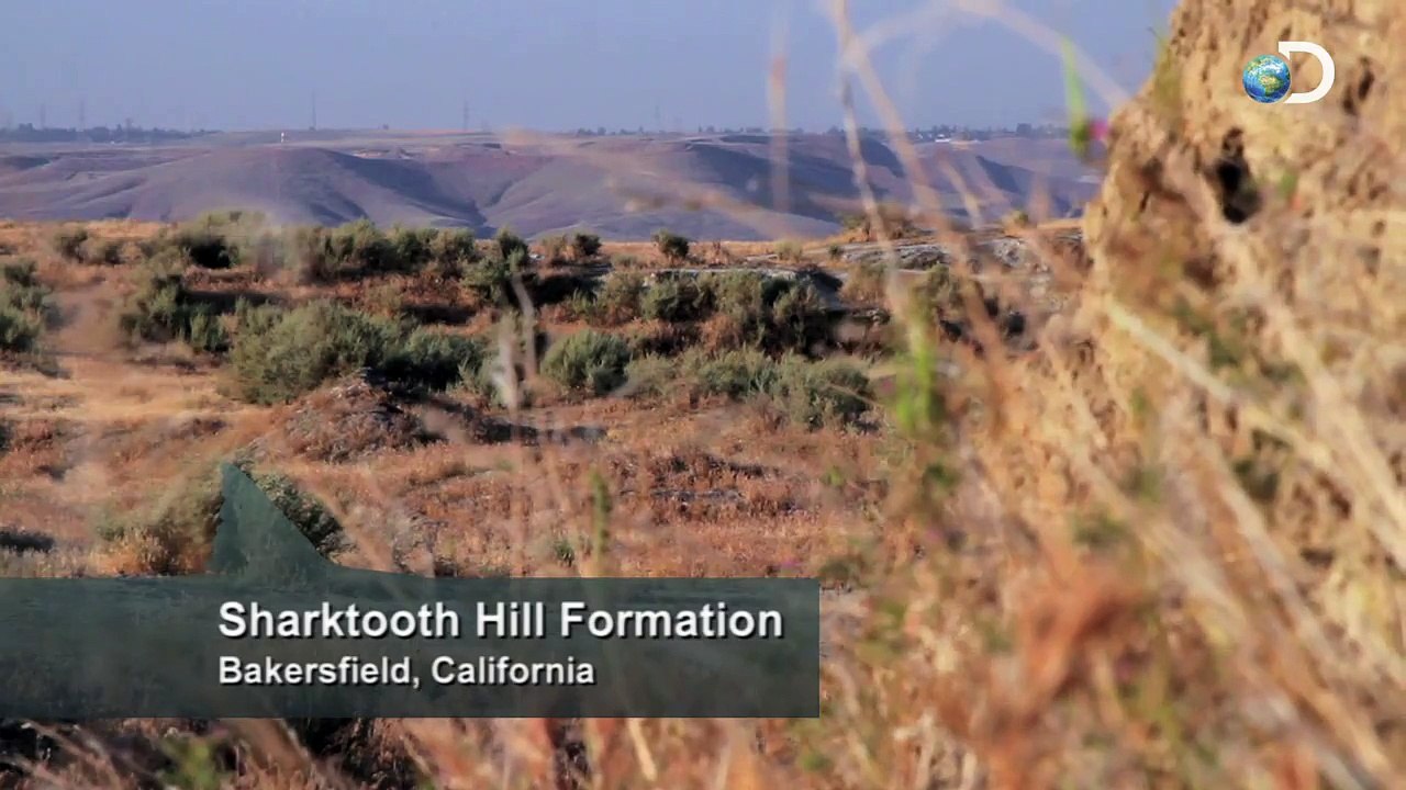 The Nightmarish Megalodon | Sharkzilla -- Shark Week 2012