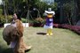 Canards MascotShows fous Costume De La Mascotte De Canard , Location de la mascotte deguisement canar