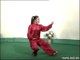 Wushu - Shaolin Kung-Fu - Tai-Chi Quan - 48-Form