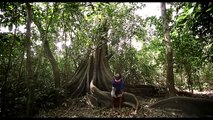 Sigo siendo (kachkaniraqmi), la película que explora el Perú a través de sus músicos