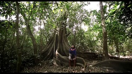 Sigo siendo (kachkaniraqmi), la película que explora el Perú a través de sus músicos