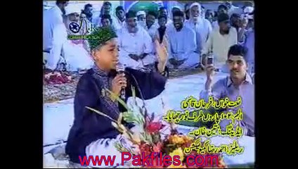 noor wala aya hai watch online free Video