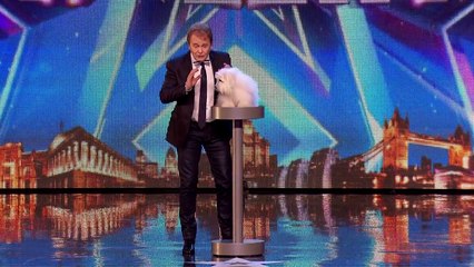 Cadela Que Fala E Canta Impressiona Todos No Britain's Got Talent