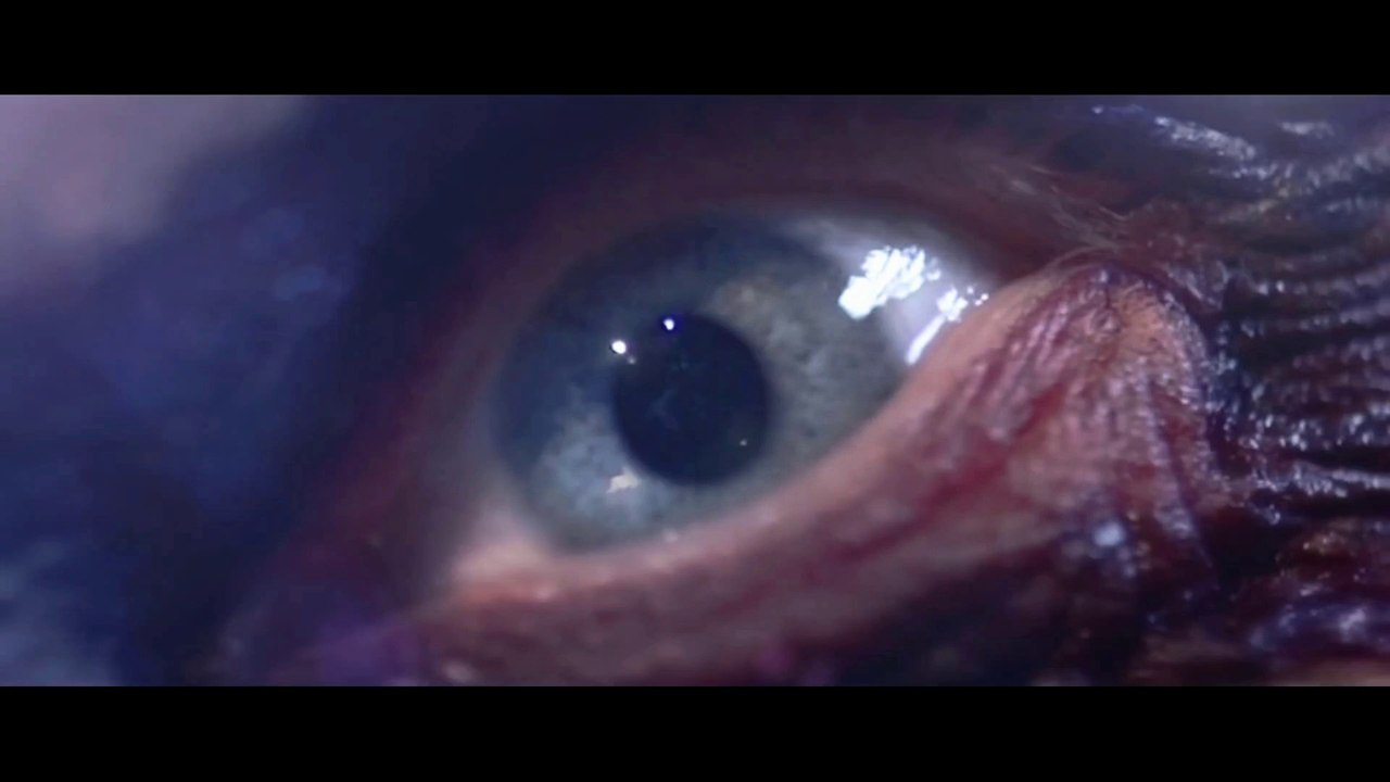 Poets Of The Fall - Daze (Official Music Video) - FULL HD 1080p