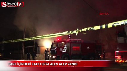 Park içindeki kafeterya alev alev yandı!