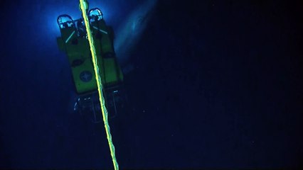 Rencontre entre un grand cachalot et le robot sous-marin Nautilus : du jamais vu!