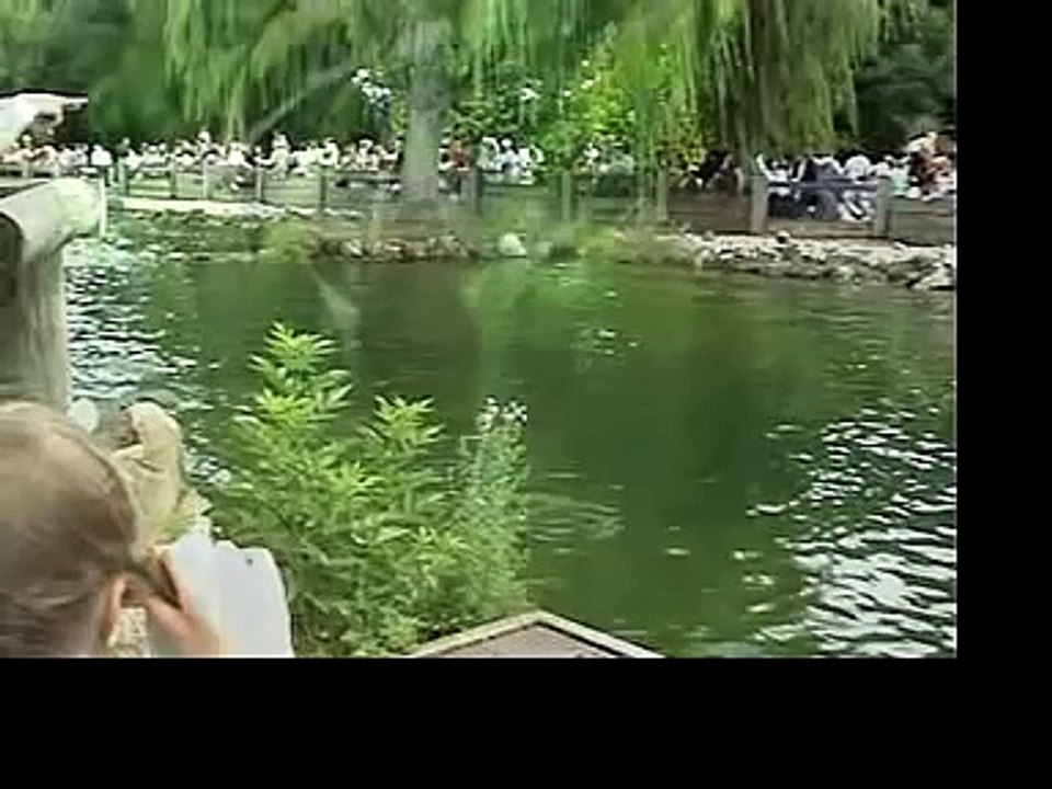 Elephants, Monkeys and Giraffes too @ Chester Zoo