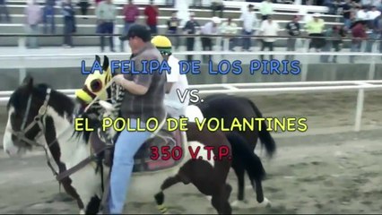 LA FELIPA VS EL POLLO |Carreras de Caballos