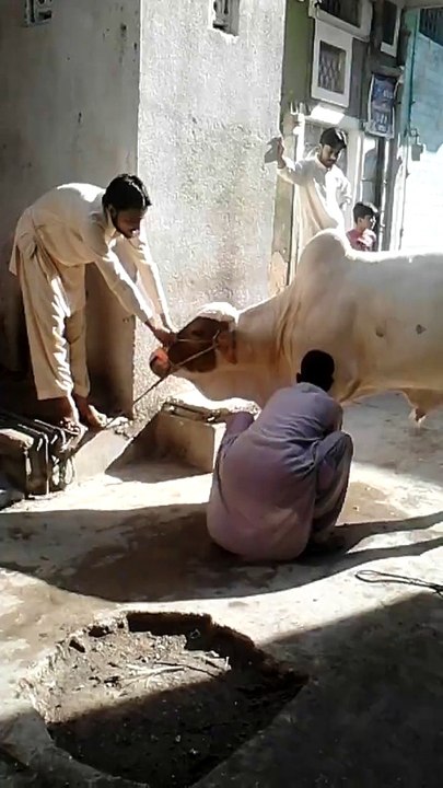 Most Powerful Desi Boy