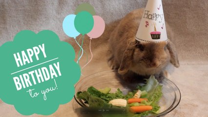 HAPPY BIRTHDAY BUGS! | April 12,2015