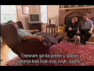 Cesar Millan - Jack Russell 2