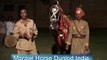 DANCING MARWARI HORSE INDIA FILMED BY HORSE RUSH TV AUSTRALIA 2005