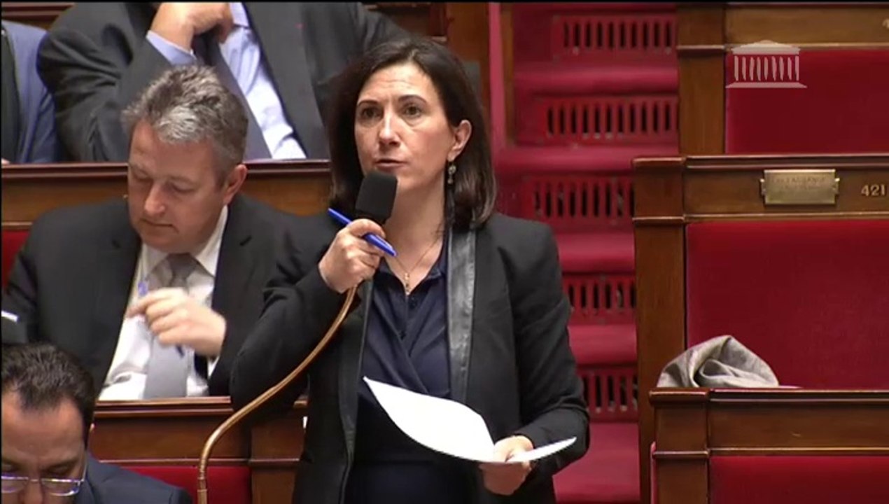 Loi Renseignement 2 15/04/15