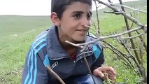 KIRAÇ'ın Eşeği Saldım Çayıra Şarkısına Muhteşem Klip Çekmiş Çocuklar