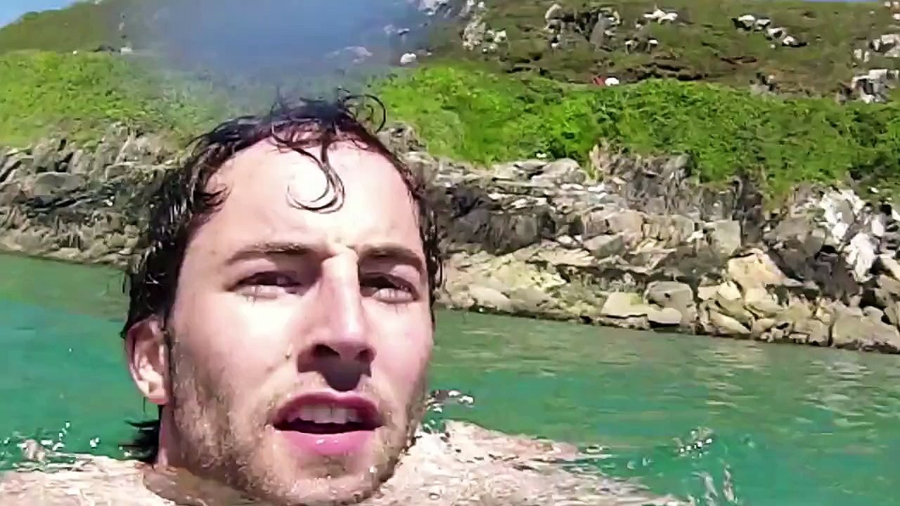 A basking shark very close to the bathers