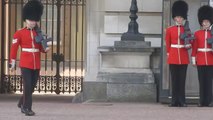 Un garde royal chute devant des touristes (Buckingham Palace)