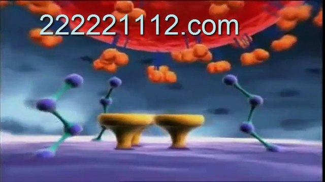 Retrovirus Replication