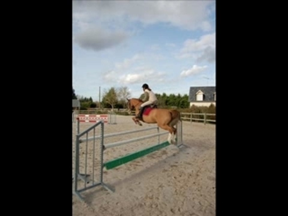 noe et gringo obstacles