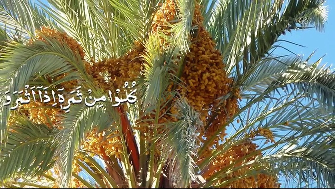 عشر کب کتنا اور کسے دیں