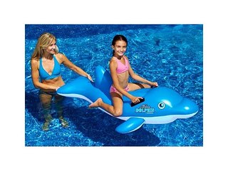 Blue Dolphin Ride-On