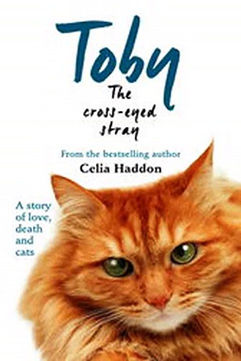 Download Toby The Cross-Eyed Stray Ebook {EPUB} {PDF} FB2