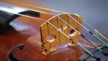 ACO Stradivarius